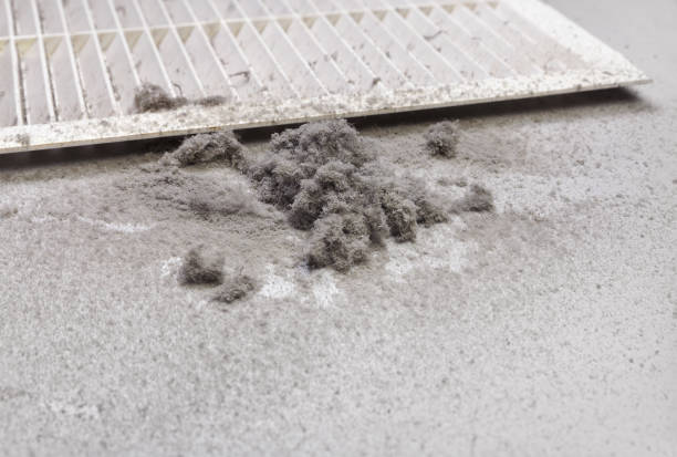 Best Local Air Duct Cleaning Services  in Pine Lakes, FL