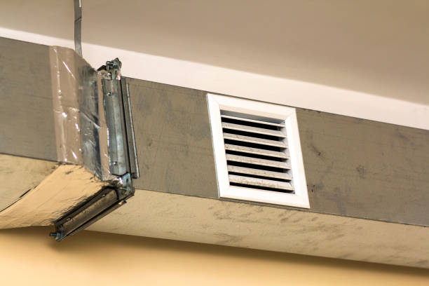 Best Affordable Air Duct Cleaning  in Pine Lakes, FL